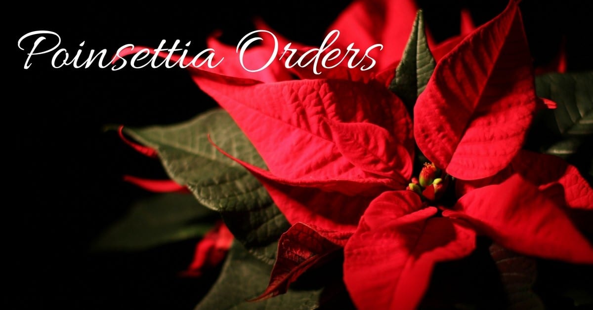 Poinsettia Orders Now Open